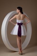 Strapless Knee Length Short Skirt Girls Choice Sweet 16 Dress