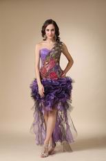 Top Designer Cascade Peacock Plume 2014 Sweet 16 Dress