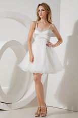 Spaghetti Straps Lovely Dresses For Sweet 16 Party