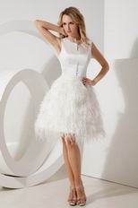 Scoop Feather Decorate Skirt Short Sweet 16 Dress With Button