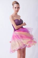 Multi Color Leopard Print Inside Unique Dress For Sweet 16 Dress
