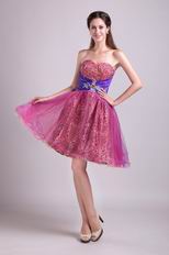 Sweetheart Short Leopard Print Fuchsia Sweet 16 Dress