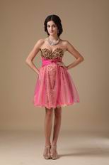 Leopard Printed Hot Pink Sweet 16 Dress By Designer