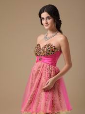 Leopard Printed Hot Pink Sweet 16 Dress By Designer