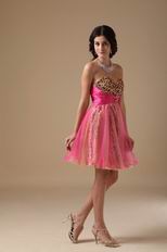 Leopard Printed Hot Pink Sweet 16 Dress By Designer