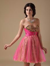 Leopard Printed Hot Pink Sweet 16 Dress By Designer