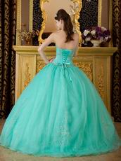 Princess Turquoise Organza Quinceanera Dress With Embroidery