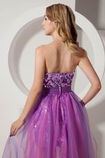 Ablaze Purple Sequin Sweet 16 High Low Design Skirt Dress