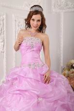 2014 Make Your Own Quinceanera Dress In Lilac Pink