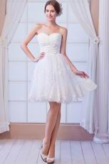 Lovely Sweetheart Sweet 16 Gown And Dress With Applique