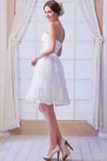 Lovely Sweetheart Sweet 16 Gown And Dress With Applique