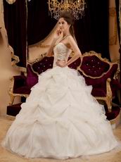 Appliqued Puffy Ball Dress Ivory Quinceanera Gown With Embroidery