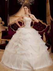 Appliqued Puffy Ball Dress Ivory Quinceanera Gown With Embroidery