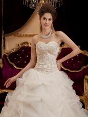 Appliqued Puffy Ball Dress Ivory Quinceanera Gown With Embroidery