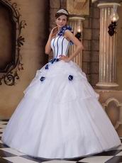 White Dress With Blue Flowers Single Shoulder Quinceanera Dress