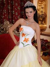 White Embroideried Flower Lovely Quinceanera Dress Gowns