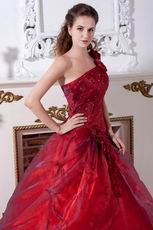 One Shoulder Burgundy Tulle Prom Ball Gown Under 200 Dollar