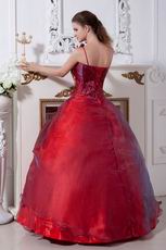 One Shoulder Burgundy Tulle Prom Ball Gown Under 200 Dollar