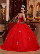 Appliqued Corset Back Scarlet Girls Birthday Quinceanera Dress