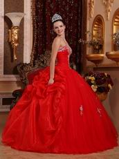 Appliqued Corset Back Scarlet Girls Birthday Quinceanera Dress