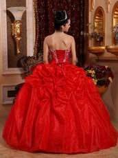 Appliqued Corset Back Scarlet Girls Birthday Quinceanera Dress