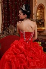 Appliqued Corset Back Scarlet Girls Birthday Quinceanera Dress