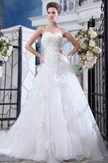 Pretty Appliqued Bodcie White Organza Cathedral Train Bridal Dress