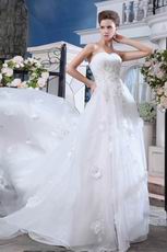 Pretty Appliqued Bodcie White Organza Cathedral Train Bridal Dress