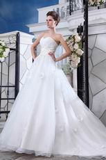 Pretty Appliqued Bodcie White Organza Cathedral Train Bridal Dress