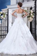 Pretty Appliqued Bodcie White Organza Cathedral Train Bridal Dress