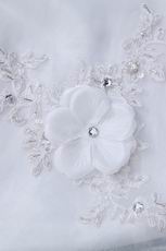 Pretty Appliqued Bodcie White Organza Cathedral Train Bridal Dress