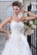 Pretty Appliqued Bodcie White Organza Cathedral Train Bridal Dress