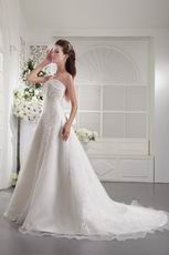 Princess Strapless Embroidery Ivory Organza Wedding Dress