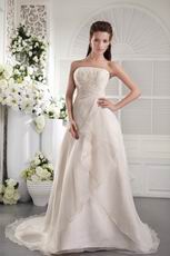 Column Strapless Empire Ivory Organza Appliqued Wedding Dress