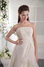 Column Strapless Empire Ivory Organza Appliqued Wedding Dress