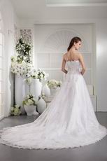 A-line Strapless Ivory Miami Wedding Dress For Bride