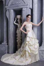 A-line Strapless Champagne Taffeta Bridal Gown With Applique