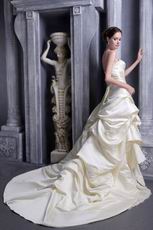 A-line Strapless Champagne Taffeta Bridal Gown With Applique