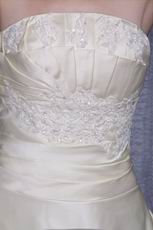 A-line Strapless Champagne Taffeta Bridal Gown With Applique