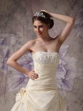 Strapless Lace Decorate Pretty Champagne Wedding Dress For Lady