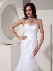 Romantic Mermaid Affordable Lace Wedding Dress Petite