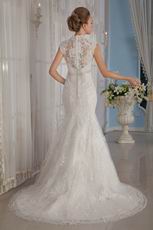 Elegant Trumpet V-Neck Mermaid Wedding Dress With Lace Emberllish