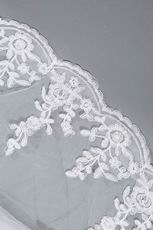 Fit And Flare Beading Bridal Wedding Dress Applique Emberllishments