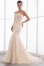 Gorgeous Strapless Beaded Fishtail Champagne Evening Dress