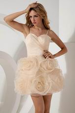 Spaghetti Straps Champagne Organza Graduation Dress