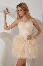 Spaghetti Straps Champagne Organza Graduation Dress