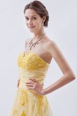 Unique Applique Lace Bodice Daffodil Prom Dress In Kansas