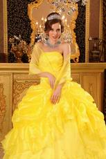 Bright Yellow Embroidery Quinceanera Dress With Jacket