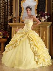 Embroidery Daffodil Military Gown With Side Flower Decorate