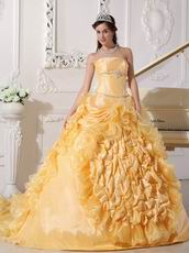 Strapless Chapel Train Daffodil Quinceanera Party Outfits